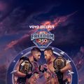 UFC