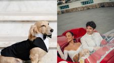 Cățelul lui Charles Leclerc a devenit viral. Imaginile adorabile cu Leo de la nunta fastuoasă din Monaco fac înconjurul internetului: „ Cel mai loial invitat al evenimentului”