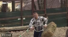 Alături de lei, gheparzi și urși, Morosanu și Brigitte s-au duelat pentru a conduce Ferma