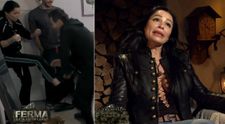 Un singur picior între iubire și...bătaie. Brigitte îl lovește pe Pastramă, spre deliciul, dar și spaima fermierilor