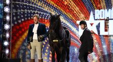 A facut cascadoriile actorului care il interpreta pe Athos in 
