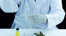 (P) Despre gripe, răceli și uleiul CBD: beneficii, efecte și statut legal