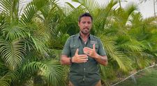 Daniel Pavel, interviu după Marea Unificare la Survivor 2023: „Vibrația concurenților a fost la cele mai înalte cote”