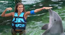 Tigrii înoată cu delfinii ”sălbatici”: ”Doar în filme am văzut așa ceva”