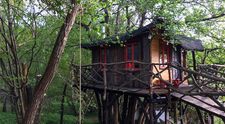 Vacanță la înălțime în România! Cum arată căsuțele în copac care rivalizează cu cele mai frumoase camere de hotel