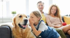 VIDEO Animalele de companie, un pericol pentru copii?