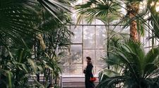 Cum au ajuns fotografiile acestui roman pe Instagram sa transforme Clujul intr-o destinatie de vacanta pentru europeni