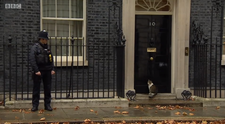 Larry, celebrul motan al premierului britanic primește o mână de ajutor de la un polițist. Clipul BBC, viral