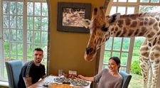 Vlăduța Lupău, ironizată pe Instagram pentru modul în care a hrănit o girafă. Cum se distrează în Africa alături de Adi Rus