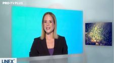 Ce este microbiota si cum ne poate ajuta sa avem un sistem imunitar puternic?