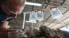 Descoperire șocantă despre victimele de la Pompeii. Un nou test ADN a dezvăluit cine erau, de fapt! Cercetătorii au o teorie stupefiantă