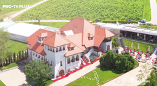 Wine Trips România | Răsfăț culinar și vinuri de poveste pe tărâmul bucuriei al Casei Timiș