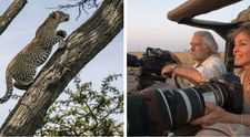 EXCLUSIV: Soții Joubert, exploratori și ecologiști faimoși, povestesc cum e să trăiești ani de zile alături de...leoparzi