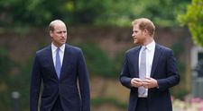 Ruptura dintre prințul Harry și prințul William, catalogată drept „grea și tristă” pentru familia regală. Un fost consilier regal a vorbit pentru prima dată despre conflictul dintre cei doi frați