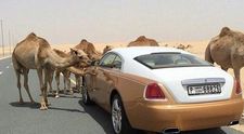 10 lucruri extrem de scumpe pe care si le permit milionarii din Dubai. Excentricitatile de care se bucura in fiecare zi