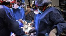 Primul om din lume care a primit o inimă de porc: „Fie muream, fie făceam acest transplant”