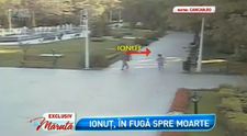 Rasturnare teribila de situatie in cazul copilului sfasiat de caini. Ce au aflat anchetatorii. Imagini surprinse de camerele de supraveghere din parc