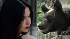 Ursul care a ucis-o pe Diana Maria pe traseul Jepii Mici NU era turbat: „Nu s-a confirmat prezența rabiei”