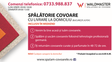 (P) Curățarea covoarelor mai simplă ca niciodată - servicii profesionale de la Waldmaster