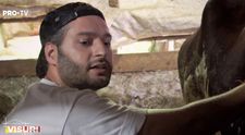 Omid Ghannadi, după ce a muls o vacă la Visuri la cheie: „N-o să te uit niciodată”