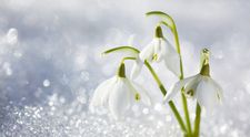 Ninge de Paște și de 1 Mai în România! Meteorologii anunță în ce zonă din țara noastră se întorc ninsorile