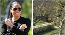 Meghan Markle s-a dat de gol! Ducesa de Sussex a „scăpat” imagini din curtea casei în care locuiește alături de Prințul Harry și copiii lor! Ce detaliu le-a atras atenția fanilor