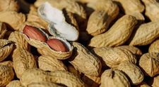 (P) Arahide în coajă coapte şi sărate - sursă de nutrienţi şi vitamine benefice pentru sanatate