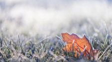 VIDEO Prognoza meteo: vreme mohorâtă