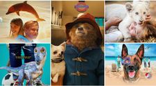 5 filme cu care să te delectezi în acest weekend! Animăluțele sunt în rolul principal