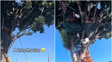 El este bărbatul fără adăpost care și-a construit o casă cu trei etaje într-un copac! Poliția l-a evacuat: „Deja fac una nouă. Sunt ca Tarzan” FOTO