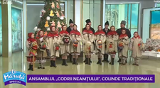 VIDEO Ansamblul 