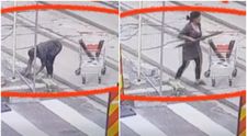 Scene șocante în Capitală! O femeie, filmată în timp ce fură bucăți din șinele de tramvai