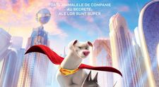 Vedetele au intrat în „Gaşca Animăluţelor DC” la avanpremiera specială