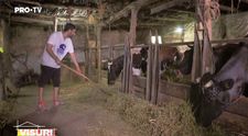 Arhitecții de la Visuri la cheie au preluat și munca de jos. Cum s-au descurcat în grajd, la animale