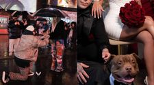 S-a însurat din nou, la nici un an de la divorț. După ce și-a cerut iubita în căsătorie în New York, Lino Golden a dus-o în fața ofițerului de stare civilă. Cum arată rochia purtată de Diana