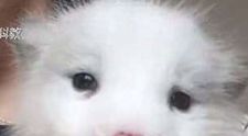 O femeie a crescut un 