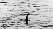 Oamenii de știință au rezolvat misterul monstrului din Loch Ness. Ce ar fi, de fapt, Nessie