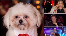 Simon Cowell i-a privit cu scepticism, dar pana si el a fost cucerit definitiv. Ce au facut pe scena un caine si stapana lui