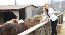 Ferma vedetelor - Sezonul 1