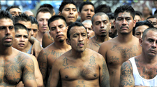 Greseala fatala pentru cei mai macabri gangsteri din lume! Donald Trump vrea sa distruga celebra banda MS-13