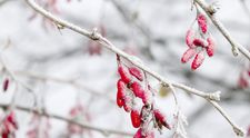 Revine iarna în România! Orașul în care ninge până în aprilie, potrivit meteorologilor de la AccuWeather: Nu scăpăm de zăpadă nici primăvara