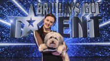 Cateii au talent. Fa cunostinta cu patrupedele care au castigat 
