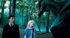 Legătura dintre Luna din „Harry Potter” și România! De ce este considerată „nașă” în Zărnești