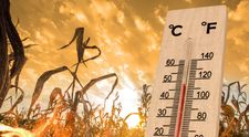 Cât ține valul de caniculă în România. Iulie aduce temperaturi record, anunță meteorologii