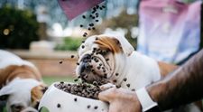 (P) Hrana naturală Lenda, alegerea perfectă pentru sănătatea și bunăstarea câinilor și pisicilor