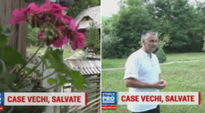 Romanii care au salvat de la disparitie mai multe locuinte traditionale motesti. Cat costa o zi de cazare in ele