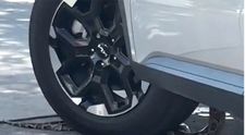 Momentul șocant când un șarpe se strecoară în mașină, în timp ce șoferul stătea la coadă în drive-thru, la un fast food VIDEO