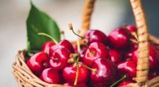 Solutia horticultorilor pentru a salva pomii fructiferi romanesti