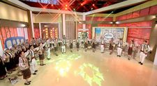 Ansamblul Solestenii - Vaslui
