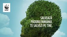Comedianții se alătură campaniei „Salvează Pădurile Nimănui. Te salvezi pe tine”